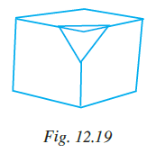 Page 367 Chapter 12 Class 7th NCERT Exemplar